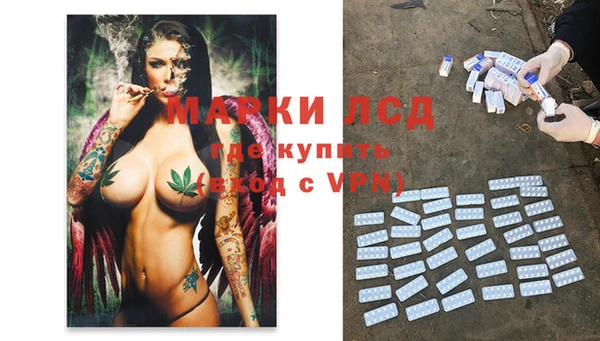 СК Корсаков