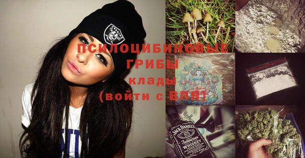 тгк Кукмор